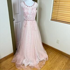 Cinderella Divine Blush Pink Embellished Lace Tulle Ball Gown.